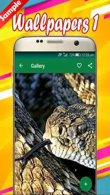 Play Snake Wallpapers