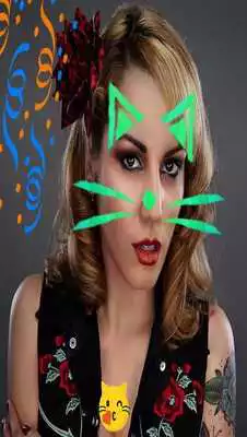 Play Snap Cat Face Swap