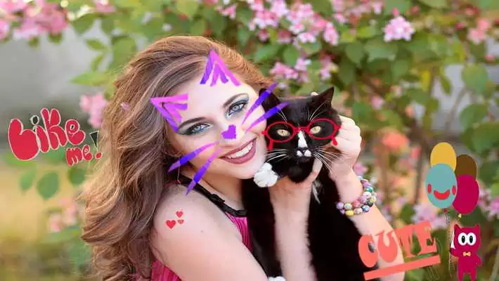 Play Snap Cat Face Swap