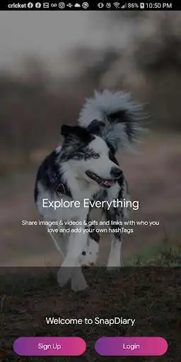 Play Snap Diary Play Snap Diary