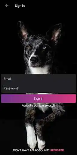 Play Snap Diary Play Snap Diary