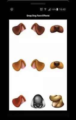 Play Snap Face Filters and Dog Face