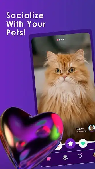 Play Sniffer : Pet, Friends, Chat and enjoy Sniffer : Pet, Friends, Chat with UptoPlay Play Sniffer : Pet, Friends, Chat and enjoy Sniffer : Pet, Friends, Chat with UptoPlay