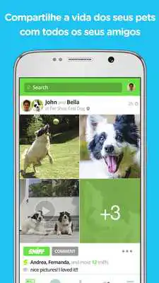 Play Sniff - Pet Social Network