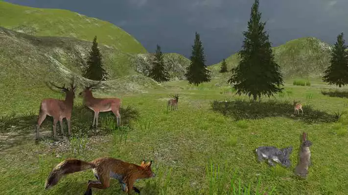 Play Sniper Deer Hunter 3D Game