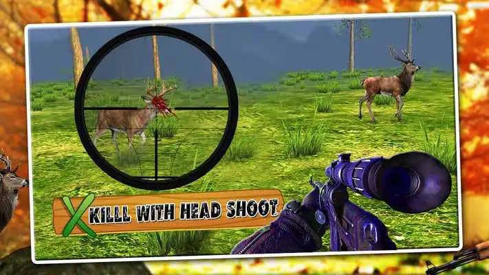 Play Sniper Deer hunting Season