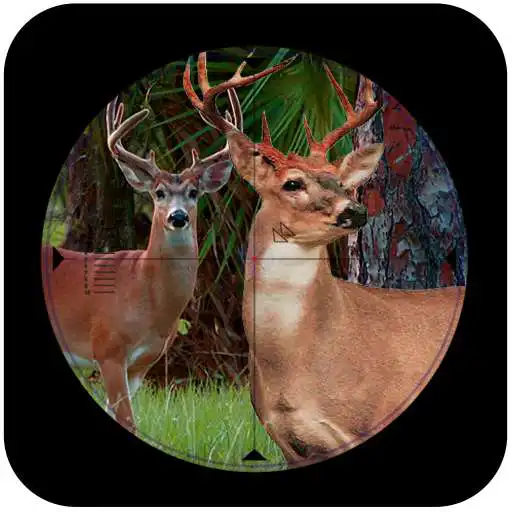 Free play online Sniper Deer Hunt:jungle hunt  APK
