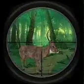 Free play online Sniper Hunter Ruger : Stag Hunt Wild Safari APK
