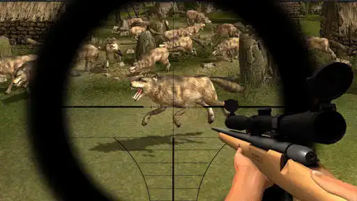 Play Sniper Wolf Hunter 2020 as an online game Sniper Wolf Hunter 2020 with UptoPlay
