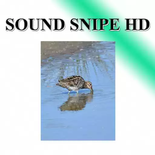 Play Snipe sounds to birds. APK Play Snipe sounds to birds. APK