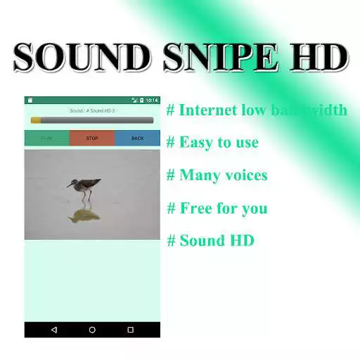 Play Snipe sounds to birds. as an online game Snipe sounds to birds. with UptoPlay