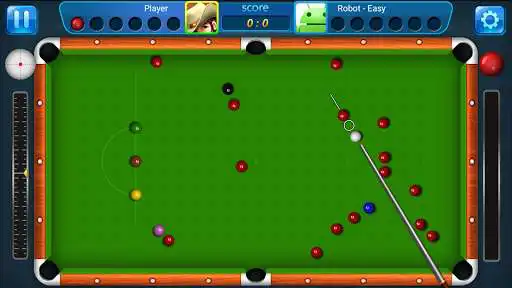 Play Snooker