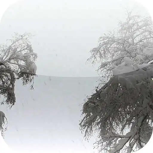 Free play online Snow 3D Video Live Wallpaper APK