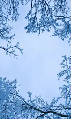 Play Snow 3d Wallpapers