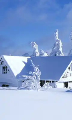 Play Snow 3d Wallpapers