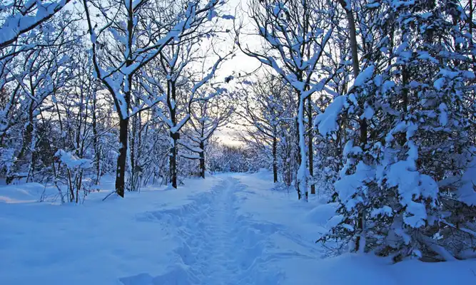 Play Snow 3d Wallpapers