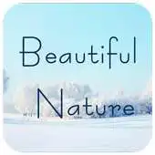 Free play online Snow and Ice Theme APK