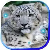 Free play online Snow Bars HD live wallpaper APK Free play online Snow Bars HD live wallpaper APK