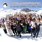 Free play online Snowbombing APK