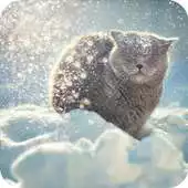 Free play online Snow Cat Wallpaper APK Free play online Snow Cat Wallpaper APK