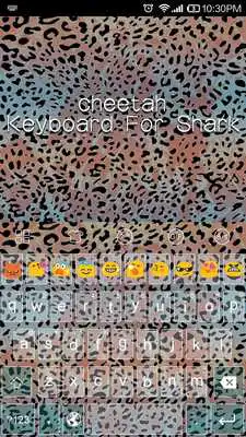 Play Snow Colorful Leopard Themes
