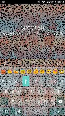 Play Snow Colorful Leopard Themes