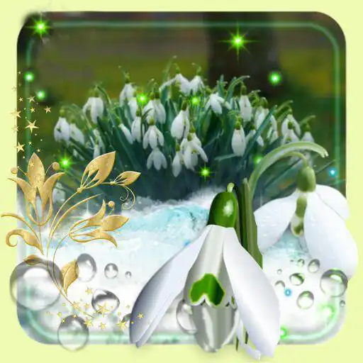Play Snowdrops Flowers APK