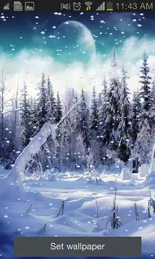 Play Snowfall Free Live Wallpaper Play Snowfall Free Live Wallpaper