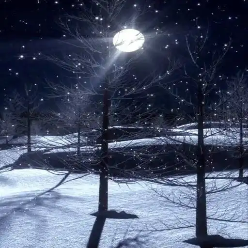 Play Snowfall Live Wallpaper Pro APK Play Snowfall Live Wallpaper Pro APK
