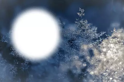 Play Snowfall Photo Frames