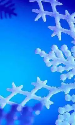 Play Snowflakes live wallpaper Themes