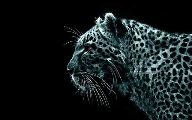Play Snow Leopard Pack 2 Wallpaper