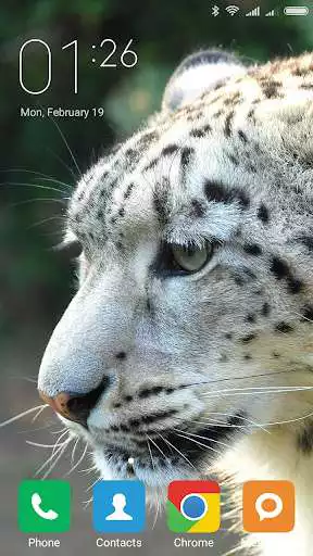 Play Snow Leopard Wallpapers and enjoy Snow Leopard Wallpapers with UptoPlay Play Snow Leopard Wallpapers and enjoy Snow Leopard Wallpapers with UptoPlay
