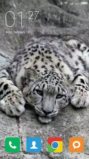 Play Snow Leopard Wallpapers as an online game online Snow Leopard Wallpapers with UptoPlay Play Snow Leopard Wallpapers as an online game Snow Leopard Wallpapers with UptoPlay