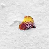 Free play online Snow Puzzle APK