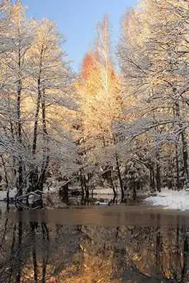 Play Snow Puzzle Play Snow Puzzle