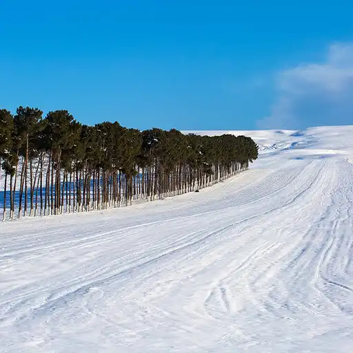 Play snow ringtone wall APK Play snow ringtone wall APK