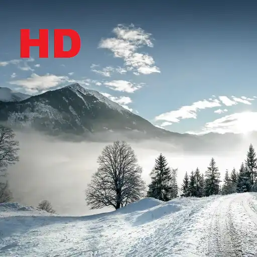 Play Snow Wallpaper 4K APK