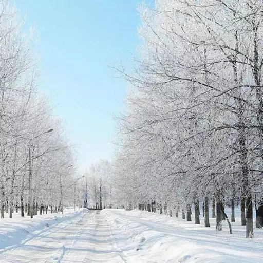 Play Snow Wallpaper APK