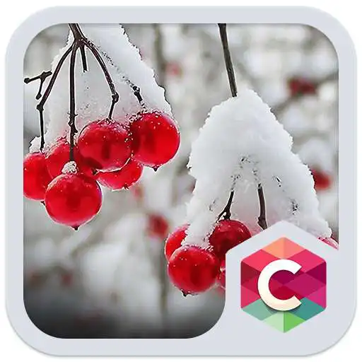 Play Snowy Cherry C launcher Theme APK Play Snowy Cherry C launcher Theme APK