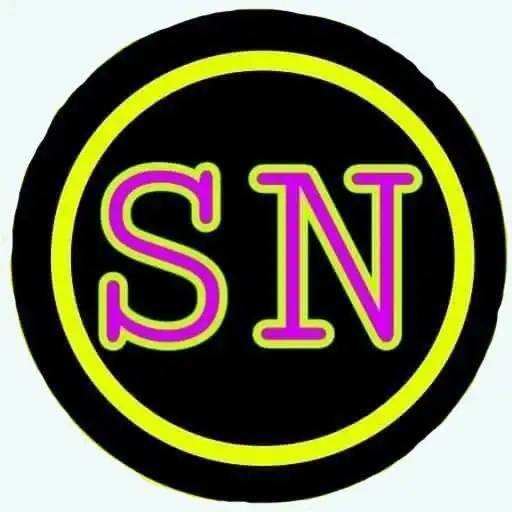 Play SN TUNNEL VPN APK