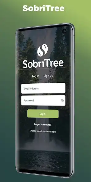 Play SobriTree  and enjoy SobriTree with UptoPlay