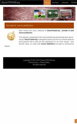Play Soccer Tipster
