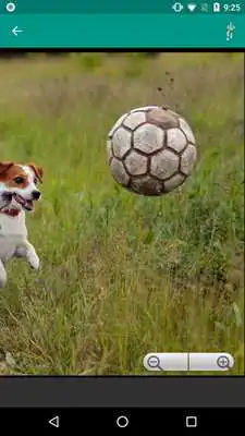 Play Soccer Wallpapers