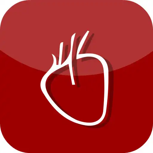 Free play online Sochicar Socios APK