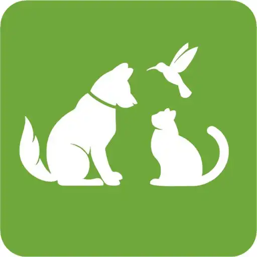 Play Social Animals APK