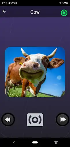 Play Social Story - Online App as an online game Social Story - Online App with UptoPlay