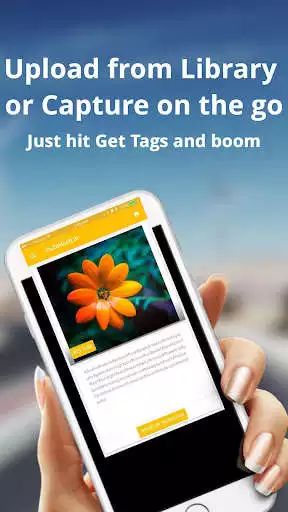 Play Social Tags  and enjoy Social Tags with UptoPlay