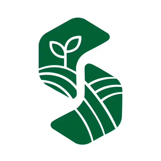 Play Socio Forest APK