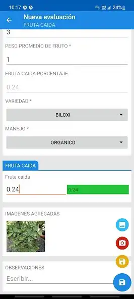 Play Sofia Forms as an online game Sofia Forms with UptoPlay